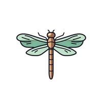 Dragonfly on a branch with clear wings vector