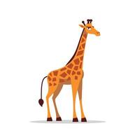 Giraffe standing proudly in a simple background vector