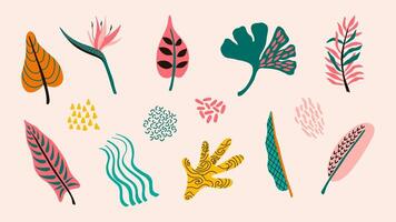Bundle of abstract tropical flower, leaves and shapes. Animal patterns on Hawaiian ferns. design for poster, scrapbooking, sticker. vector