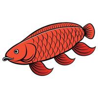 Fish Illustration on White Background vector