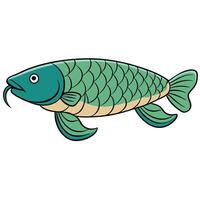 Marine Fish in Art on White Background vector