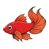 Fresh Salmon Drawing on White Background vector