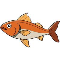 Fresh Fish Illustration for Digital Design Projects vector
