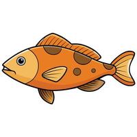 Grouper Fish Drawing for Ocean Life Documentation vector
