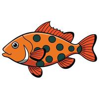 Grouper Fish Line Drawing for Fishkeeping Blogs vector