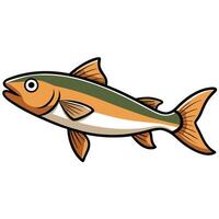 Haddock Art for Ocean and River Ecosystem Projects vector