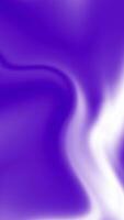 Abstract background animation portrait purple color smooth white gradient video