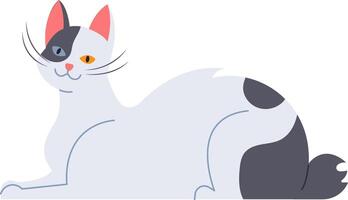 Adorable bicolor cat with heterochromia lying down, enjoying a moment of tranquility and showing its unique and beautiful features, perfect for pet lovers and animal themes vector