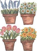 four flower pots with different flowers in them vector