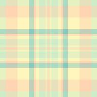 Soft pastel plaid pattern. Perfect for backgrounds, textiles, or website designs. Subtle color palette creates a calming and versatile aesthetic. Ideal for projects needing a delicate, modern touch. vector