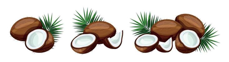 Set of delicious coconuts with green leaves isolated on white background. Illustration of fresh whole, half, pieces of coconuts with green leaves in cartoon style. vector