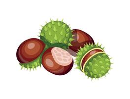 Chestnut isolated on white background. Flat illustration of a pile of chestnuts brown and in a green shell with thorns in a cartoon style. Chestnut icon. vector