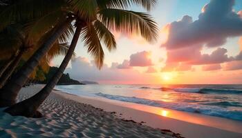 sunset on a beach with palm trees photo