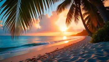 a tropical beach with palm trees and the sun setting photo