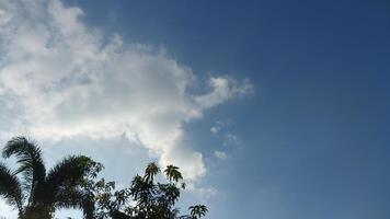 Cloudy Sky Framed by Tropical Foliage photo