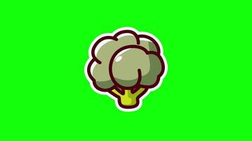 Green Screen Broccoli Animation Loop 4K Footage Background video