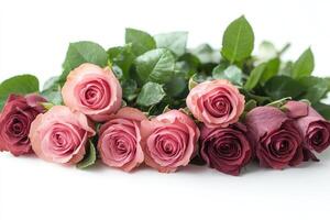 Pink and red roses lying on a white surface photo