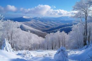 Snow covered forest overlooking rolling hills in winter photo