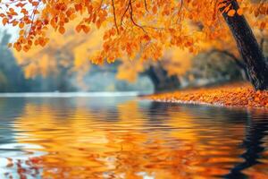 Golden autumn leaves reflecting in calm lake water photo