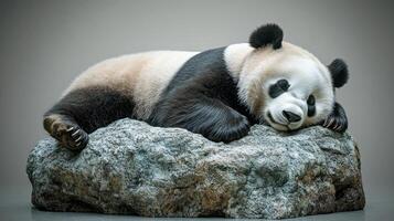 The gentle panda lies on a stone, enjoying a moment of calm in its peaceful surroundings photo