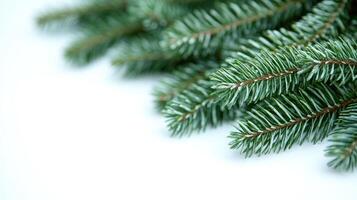 Fresh pine branches create a calming aesthetic, ideal for holiday arrangements photo