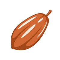 Cocoa pod icon isolated on white background vector