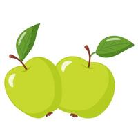 two green apples with leaves vector