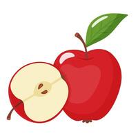 ripe red apple with slice vector