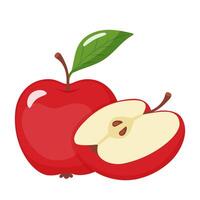 ripe bright red apple with a slice vector