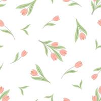 spring seamless pattern on white background pink tulips vector