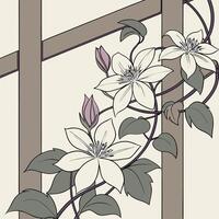 The illustration of clematis flower vector