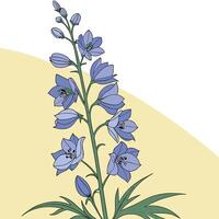 The illustration of delphinium flower vector