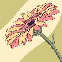 The illustration of gerbera daisy flower vector