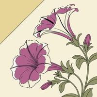 The illustration of petunia flower vector