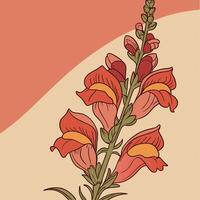 The illustration of snapdragon flower vector