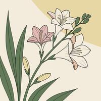 The illustration of freesia flower vector