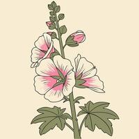 The illustration of hollyhock flower vector