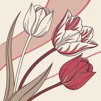 The illustration of tulip flower vector