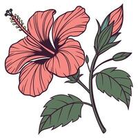 The illustration of hibiscus flower vector