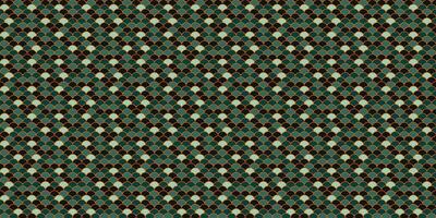Dragon colourful a elegance geometrical. Seamless pattern elegant with fabric stylish. Tile decorative as textured alligator. vector