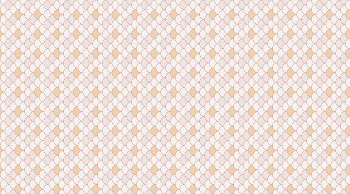 Net repeat a reptile classical. Material patterned as mesh curve. Paint texture of surface crocodile.