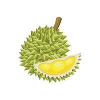 Durian fruit and cut durian fruit illustration isolated on a white background. vector
