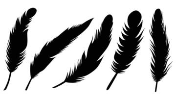 Set of writing quill feather simple silhouette icon. Sketch feathers of macaw, quill, eagle, crow. Cut out feather icon collection simple vintage inkwell fur in flat style. Hand drawn bird feathers. vector