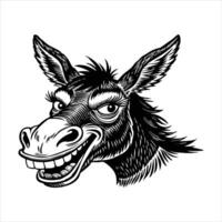 Donkey with face expression on white background vector