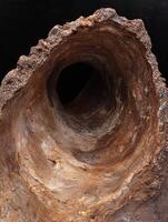 Close up of a large, hollowed out tree trunk, revealing intricate textures and patterns within the wood photo