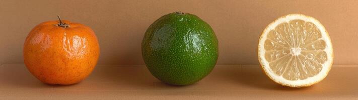 Three vibrant citrus fruits on a neutral background photo