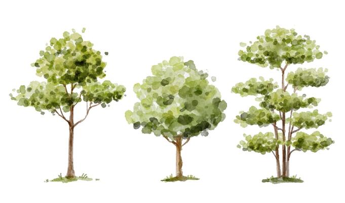 Watercolor set of green trees for logo, invitations and more