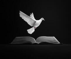 A white dove takes flight above an open book in a striking black backdrop highlighting themes of knowledge and freedom photo
