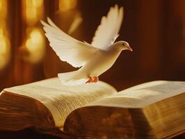 White dove flying above open book with golden light illuminating the pages in a serene setting photo