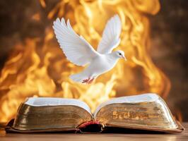 Dove soaring above an open book with flames in the background representing hope and transformation photo